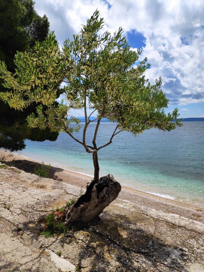 Apartments Coast 27 Podgora Εξωτερικό φωτογραφία